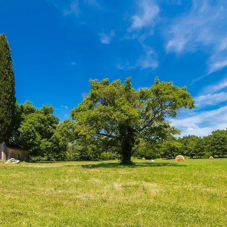 Dell Arte Villa Žminj